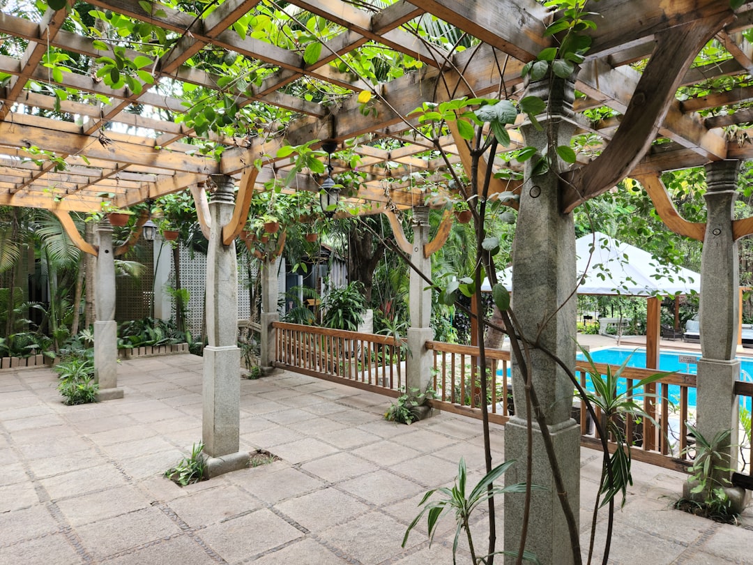 You are currently viewing Patio Cover Maintenance: Tips for Longevity and Beauty