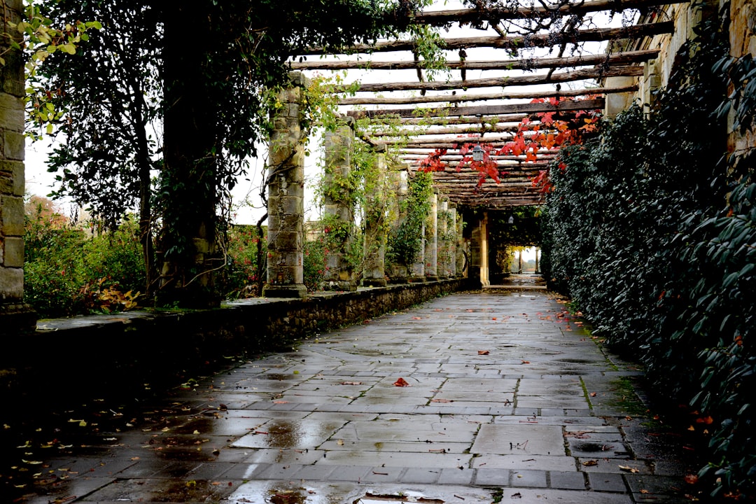 You are currently viewing Climate Considerations: Choosing a Patio Cover for Your Region