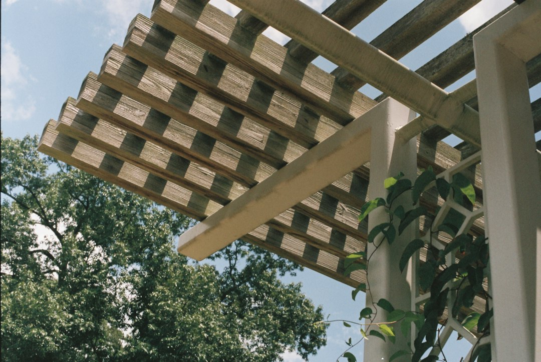You are currently viewing Enhancing Your Outdoor Space: The Beauty of Pergolas