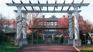 Read more about the article Pergolas for Privacy: Solutions for Urban Homes