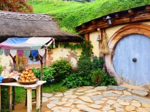 Read more about the article Sustainable and Eco-Friendly Materials for Patio Covers